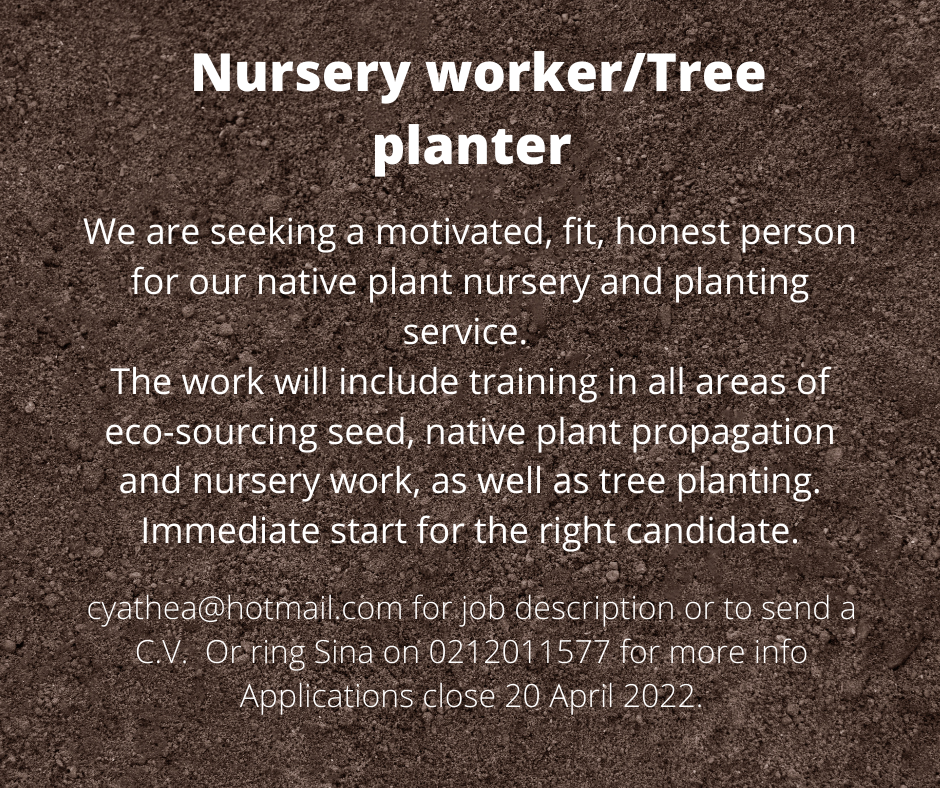 Nursery staff/tree planter job opportunity details and contact info